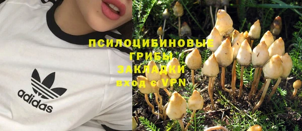 скорость Нея